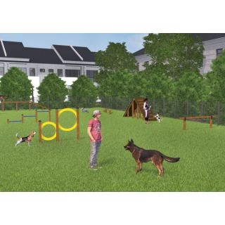 Agility - Forhindringsbane til hunde_1900