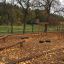 Robinia Balancerampe på en legeplads om efteråret med gyldne blade.
