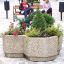 Blomsterkumme Alex med varierede planter på byplads.