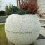 Blomsterkumme Globe formet som en kugle med forskellige planter i forhaven.