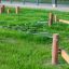 Gobi – Robinia motorikbane, rebstige på legeplads i grønt område.