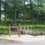 Robinia hængekøje hængende mellem træer ved en sø i en fredelig park.