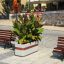 Blomsterkumme Geneva IV med eksotiske planter på byplads.