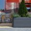 Blomsterkumme Sydney placeret foran en café
