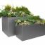Moderne Blomsterkumme Chicago fyldt med forskelligartede grønne planter.